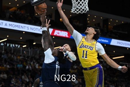 NG28介绍